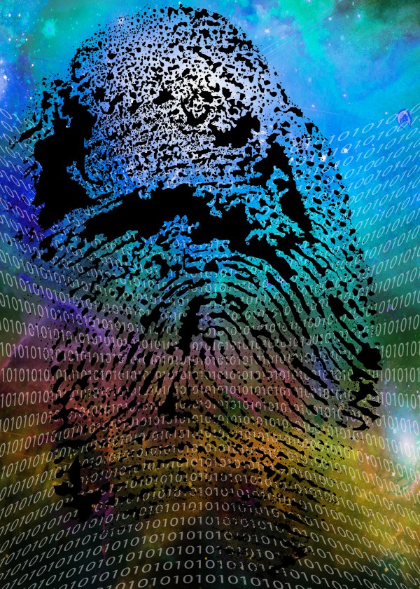 Online Identity by Bruce Rolff